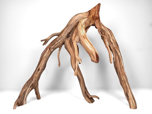 Manzanita driftwood - manzanita,