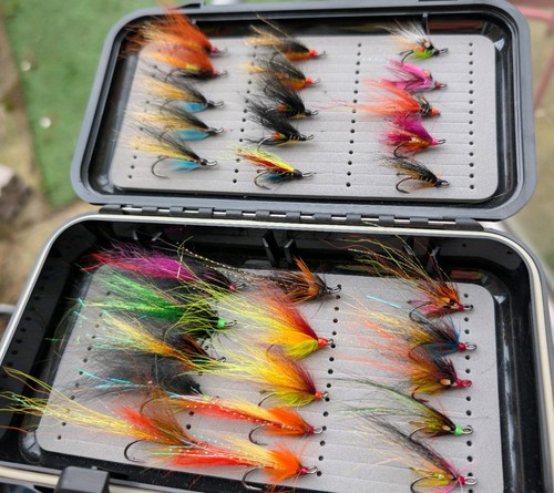 Box salmon fly - of, 30