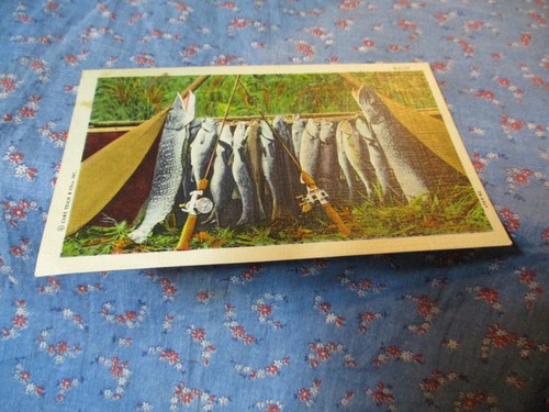 Old postcard 1953 chetek - old,