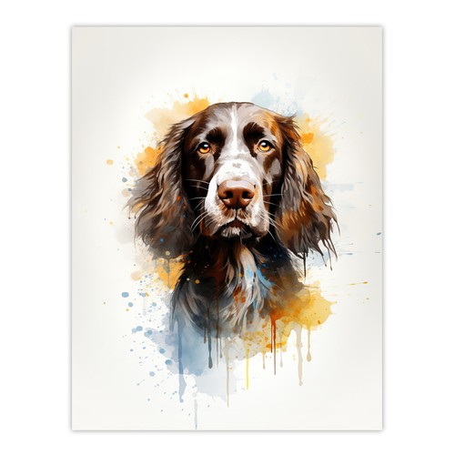 English springer spaniel - english,