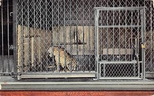 Chicago IL Illinois Lincoln