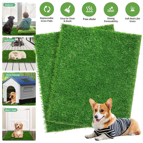 Pack puppy potty pad - 2,