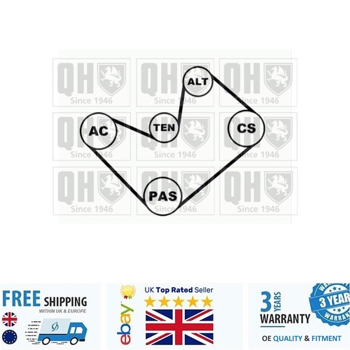 Ribbed belt set for polo - for, vw