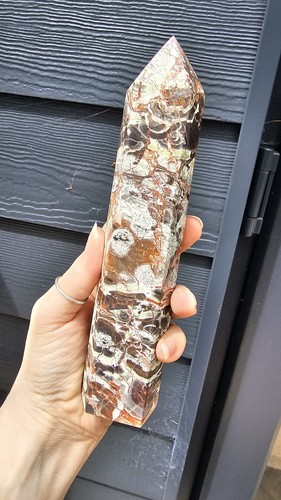Large money agate - money, crystal
