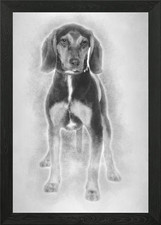 Cross breed with a Beagle