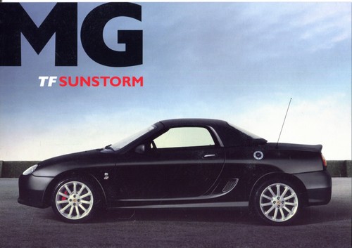 Sunstorm market sales - tf,