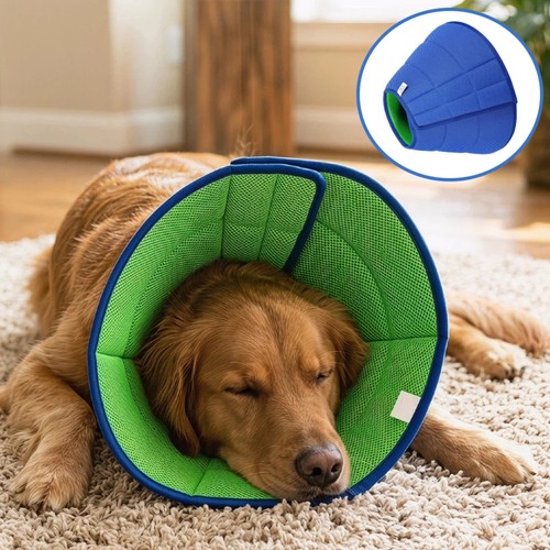 Flexible dog cone - flexible, recovery
