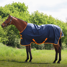 GS Equestrian & Country Horse