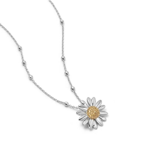 Daisy london english - daisy, bobble