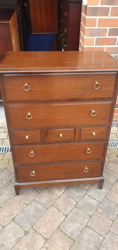 Stag minstrel tallboy great - stag, in