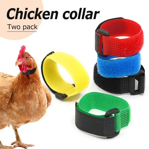 2pc anti crow - anti, collar