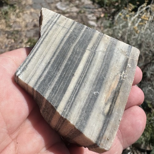 Skarn black and - skarn,
