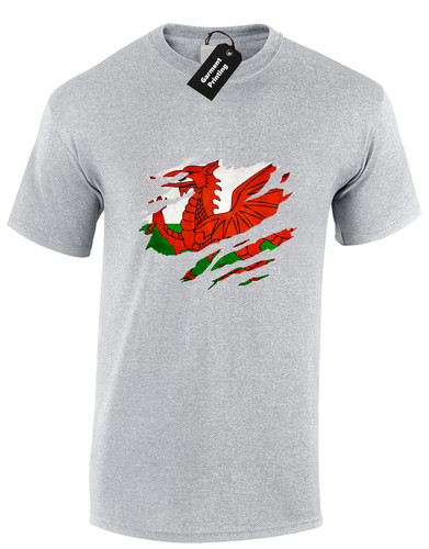 Welsh flag chest slashed mens - flag,
