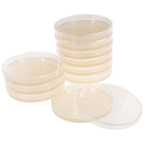 Mikikit 10pc plastic petri - mikikit,