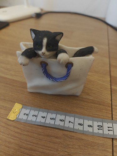 Leonardo collection cat in - collection,