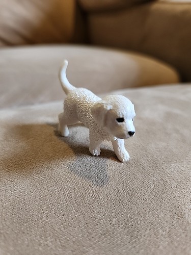 Schleich english cream - schleich, golden