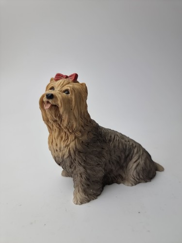 Castagna yorkshire terrier - castagna,