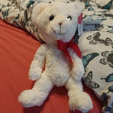 Cuddly Plush Bear, With Love