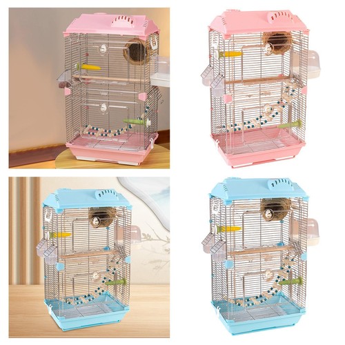 Bird cage parrot - bird, large
