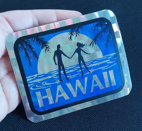 Hawaii silhouette surfing - hawaii,