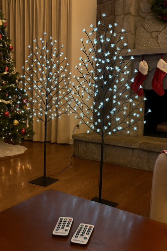 220cm blue leds - 2x, cherry