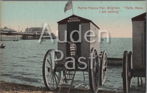Vintage brighton palace series - vintage,