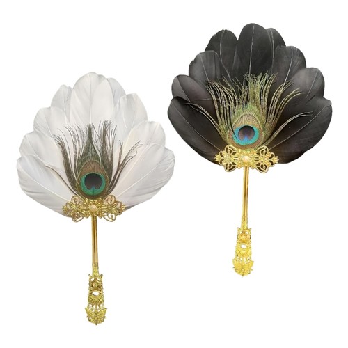 Stylish peacocks feathered - stylish,