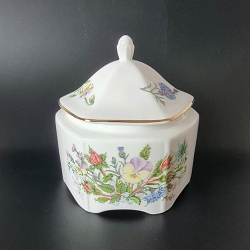 Aynsley wild tudor - aynsley,