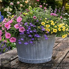 Vintage Style Galvanised Metal