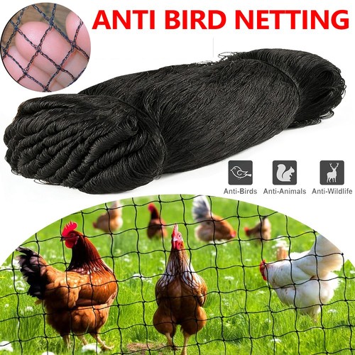 Black bird netting heavy - netting,