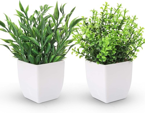 Pack fake plants mini - 2,