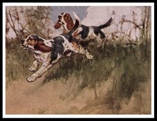 BEAGLE HOUNDS HUNTING DOG ART