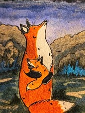 Fox Dad, Baby Starry Sky