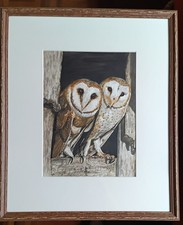 Barn Owl water colour. Original, artist signed.