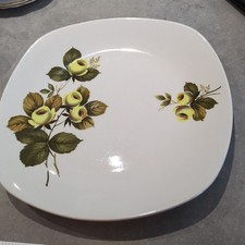 Midwinter Stylecraft Plate