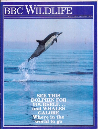 Bbc wildlife magazine june - wildlife, magazine-june