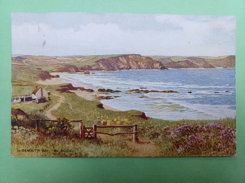 Post card salmon - post, salmon.