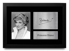 Princess Diana Excellent Gift