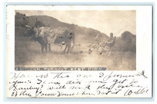 1905 Horse Drawn Agricultural
