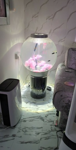 Biorb 105 litre fish tank - 105,