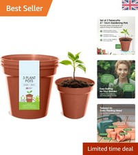 Classic Terracotta Planters -