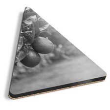 1x Triangle Coaster - BW - Citrus Fruits Lime Tree Fruit #37618