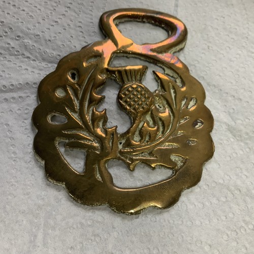 Horse brass scottish thistle - brass,