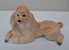 Lomonosov Russian Poodle Dog