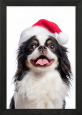 Japanese Chin Dog with Santa