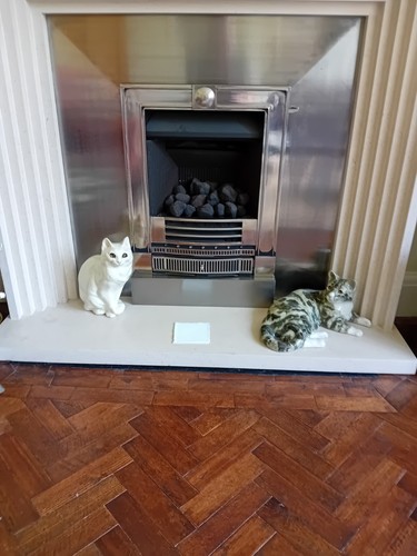 Inset gasco winchester - inset,