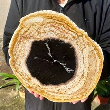 4.11LB Restoration of Large