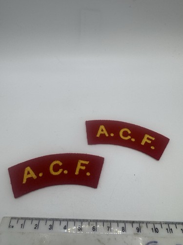 Army cadet force - force, acf