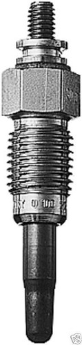 Glow plug for - plug,