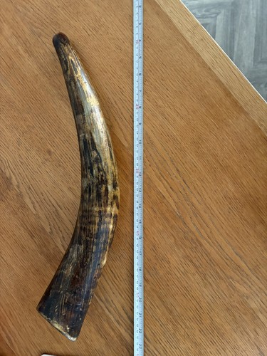 19th century scottish hunting - century,